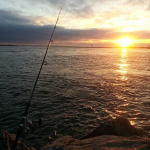 Meet your Posher, Joon soo